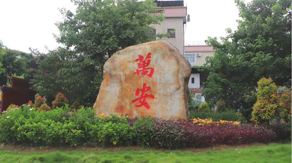 龍江鎮萬安村環境衛生清潔管理項目