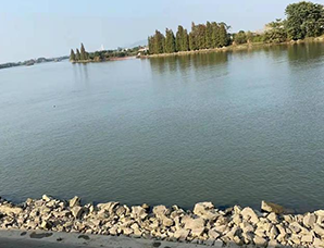 大良街道外江河道保潔項目